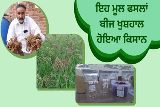 Native agriculture started in mansa