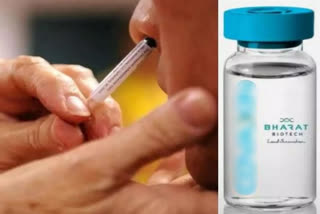 Bharat Biotech's intranasal Covid vaccine gets emergency approval