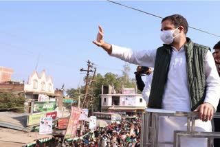 Bharat Jodo yatra