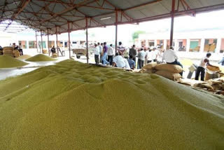 Moong urad Purchase MP