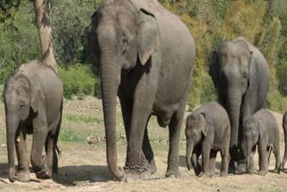 Bandhavgarh Tiger Reserve