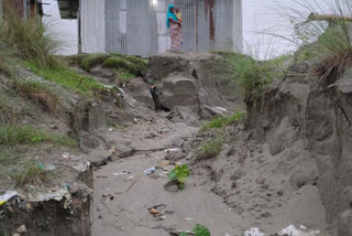 beki bridge guide dam in grip of erosion