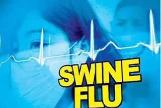 MP Swine Flu Case