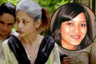 Sheena bora murder case