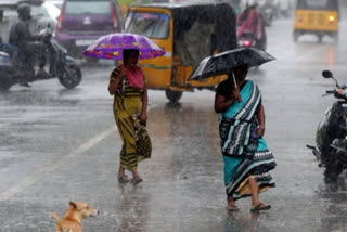 Heavy Rain In Maharashtra