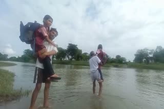 Sehore School children crossing river