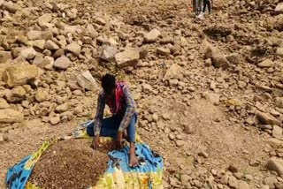 Panna Workers search Diamonds
