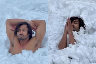 vidyut ammwal