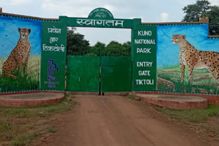 Kuno Palpur Sanctuary for PM Modi visit