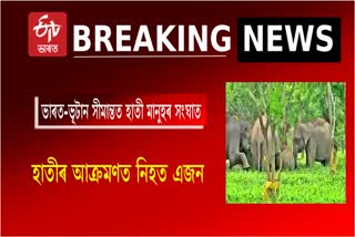 Man killed in wild Elephant attack in Tamulpur