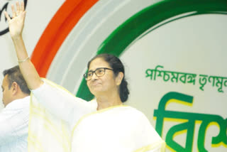 Mamata