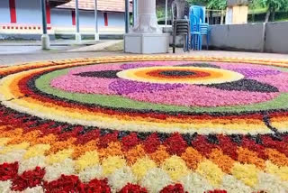 Flower carpet  Ramantali Sri Shankaranarayana Temple  Onam  ഭീമന്‍ പൂക്കളം  പൂക്കളം  രാമന്തളി ശ്രീ ശങ്കരനാരായണ ക്ഷേത്രം