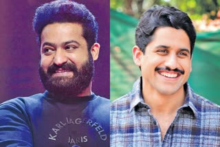 Tollywood Actor Naga Chaitanya And Jr Ntr About their Upcoming Films