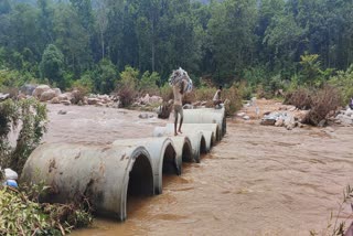 Campaign against Naxalites in Budha Pahad police building bridge on Budha river in Latehar