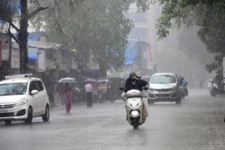 kerala weather update  Rain update kerala  ഇടിമിന്നൽ ജാഗ്രത നിർദേശം  ശക്തമായ മഴ  വയനാട്  യെല്ലോ അലേർട്ട്  മലയോരമേഖലയിൽ ജാഗ്രത നിർദ്ദേശം  ന്യൂനമർദ്ദവം  ചക്രവാതച്ചുഴി