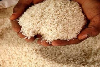 Rice production may decline by 11.2 million tonnes in Kharif season this year: Food SecretaryEtv Bharat