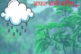 MP will not get relief from rain