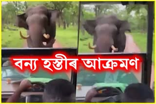 Elephant ran over a safari jeep in Kabini backwaters