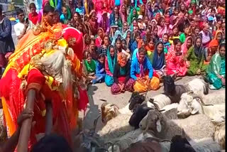 Sheep Fair in Uttarkashi