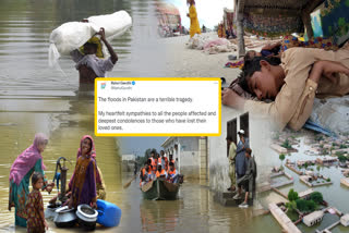 Floods in Pakistan terrible tragedy says rahul Gandhi