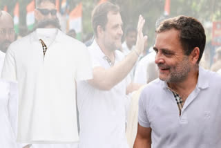 BJP alleges that Rahul Gandhi took part in Bharat Jodo Yatra sporting T-shirt worth Rs 41k