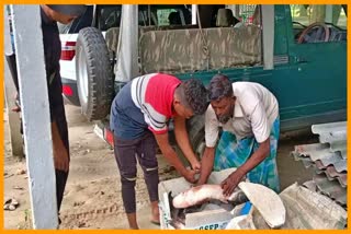 Two arrested for illegal angling in Kaziranga National Park