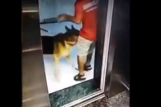 Dog bites Zomato delivery boy left him bleeding from crotch, in Maharashtra's Panvel