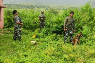 Security forces recovered 15 kg cane bomb