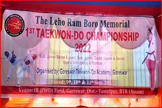 Taekwondo tournament in Tamulpur