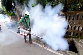 22-new-dengue-patients-found-in-siliguri-municipal-corporation-area