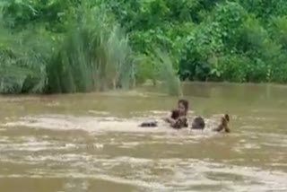 Girl Swam Across the River to attend the Exam