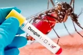 Firhad Hakim claims Dengue Situation in Kolkata becoming worse due to carelessness of residents