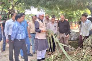 गौशाला कान्हा उपवन पहुंचे पशुधन मंत्री