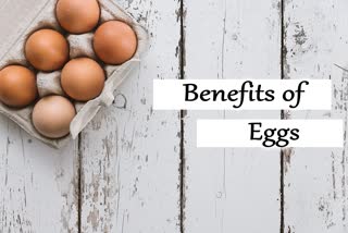 eat eggs daily misconceptions eggs benefits egg nutrients