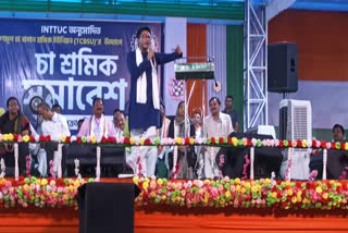 Abhishek Banerjee malbazar