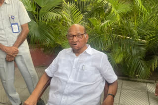 NCP chief Pawar