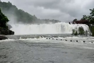 Bogota Falls
