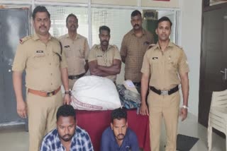 Palakkad  Odisha natives arrested with ganja  Odisha natives arrested in Valayar  Odisha  ganja  Valayar  Cannabis  crime news Palakkad  വാളയാറില്‍ വന്‍ കഞ്ചാവ് വേട്ട  കഞ്ചാവ്  പെരുമ്പാവൂർ  എറണാകുളം  അതിഥി തൊഴിലാളി  ഒഡിഷ