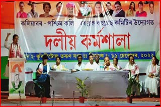 Workshop of Congress at Kaliabor in Nagaon