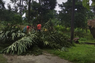 strom devastated several areas of lakhimpur