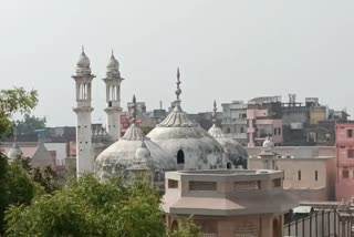 Gyanvapi Masjid Case