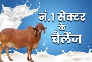 Dairy Sector Potentials and Challenges in India