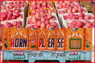 apple market Parwanoo