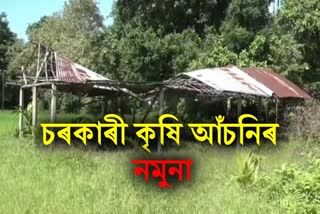 Corruption in Majuli Agriculture Department