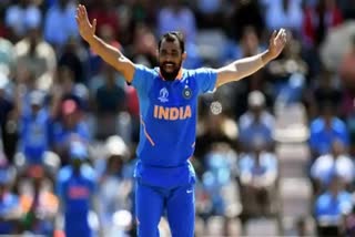 mohammed shami