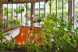 Prep your balcony garden to enjoy home grown desi vegetables