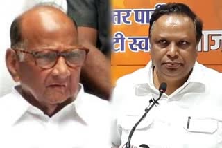 Bjp Leader Ashish Shelar meeting  Sharad Pawar