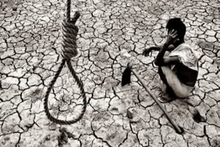 60 Farmers Suicide Yavatmal