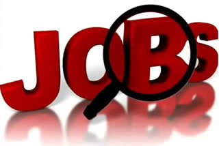 India's job market outlook strong for Oct-Dec; 54 pc companies plan to hire