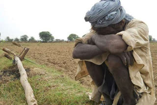 Farmers Suicide